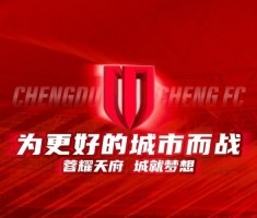 伤情通告｜关于成都蓉城队球员卡隆、韩鹏飞、严鼎皓的伤情通告